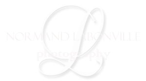 Normand Labonville Photography logo